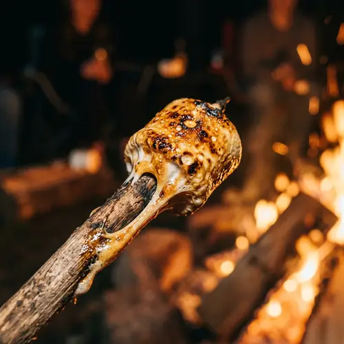Toasted Marshmallow: Simple Food Delight
