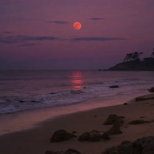 Seashore Bliss: Purple Skies & Red Moon