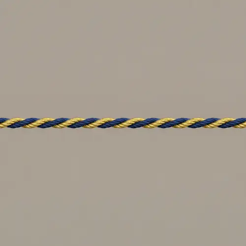 Intertwined Gold and Blue Rope Design
