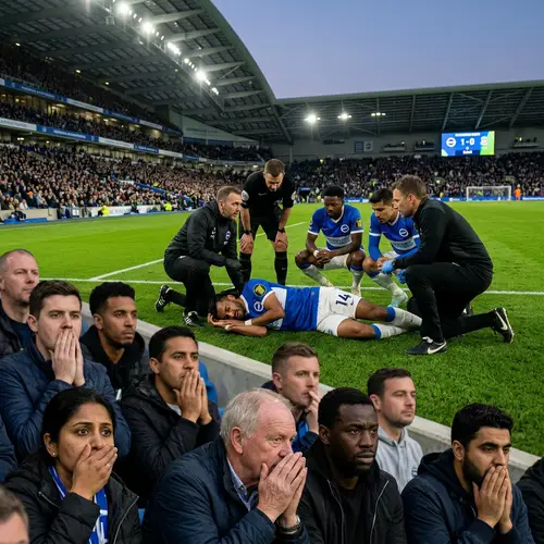 Football Concussion Incident: Fan Reactions