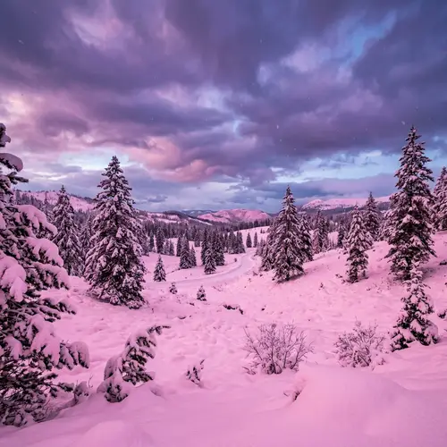 Unique Pink Snow Landscape: Whimsical Winter Wonderland