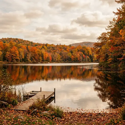 Tranquil Autumn Forest Lake View