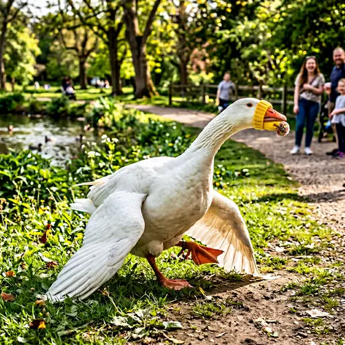 Silly Goose Being Silly: A Hilarious Park Encounter