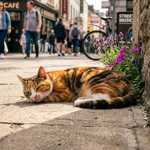 Peaceful Cat Basking in Sunlight - Urban Scene with Flowers