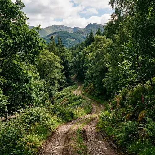 Serene Winding Paths Through Lush Greenery