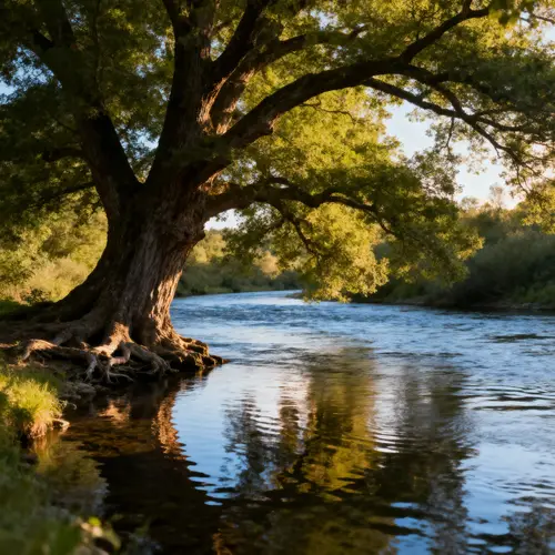 Majestic Tree Overlooking a Serene River