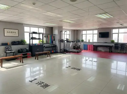 Home Gym Equipment Organization and Layout