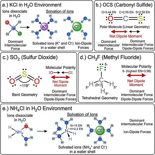Lewis Structures & Intermolecular Forces for Chemical Compounds