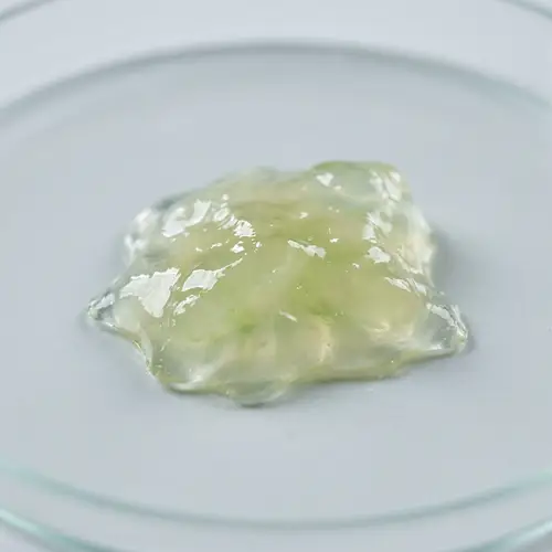 Realistic Mucus Piece on Sterile Surface