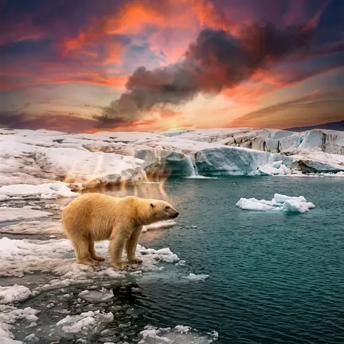 Global Warming: Impact on Polar Regions