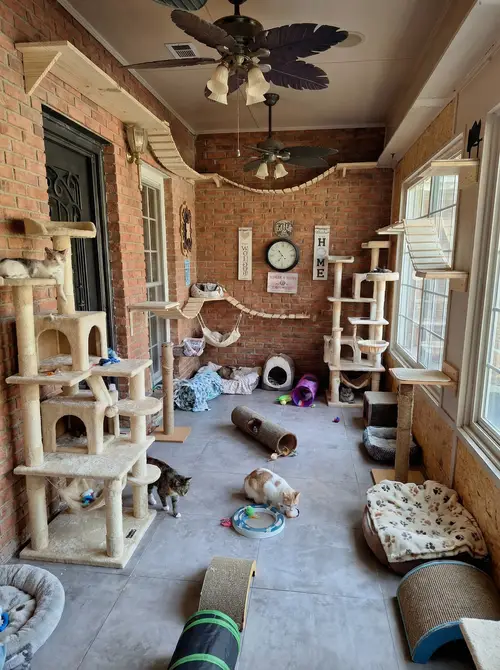 Create a Cozy Cat Room for Your Feline Friends