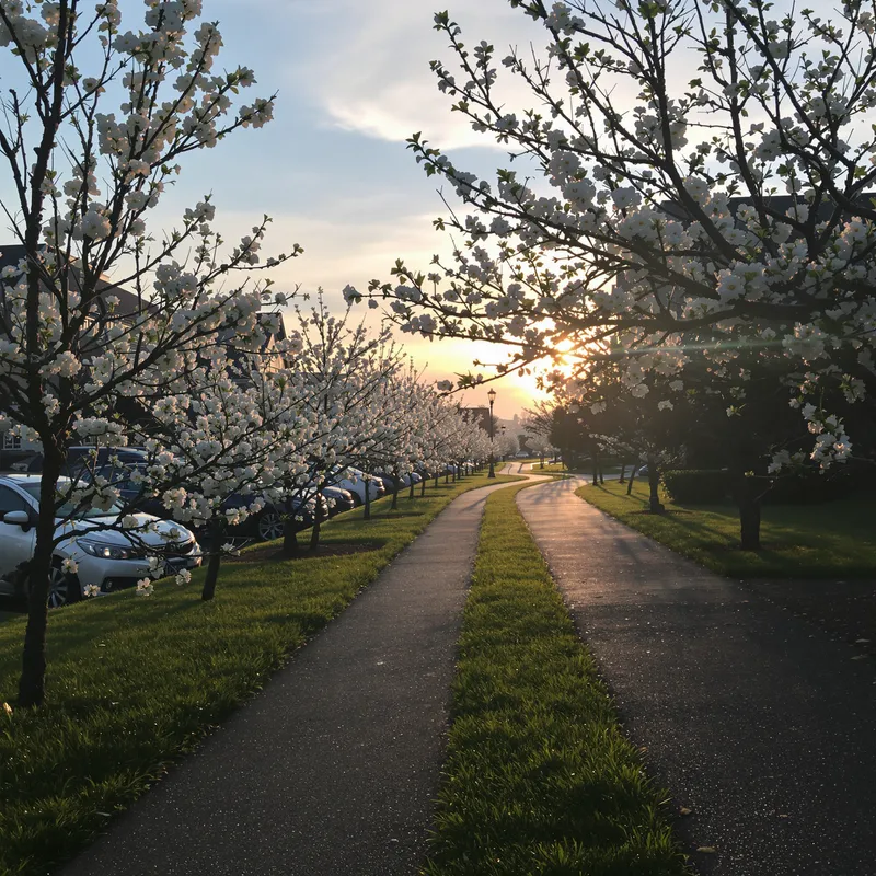 Spring Evening: Embrace the Beauty of Nature