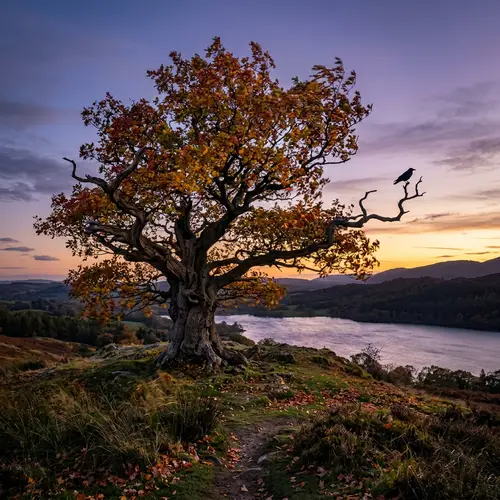 Majestic Ancient Oak on a Windswept Hill