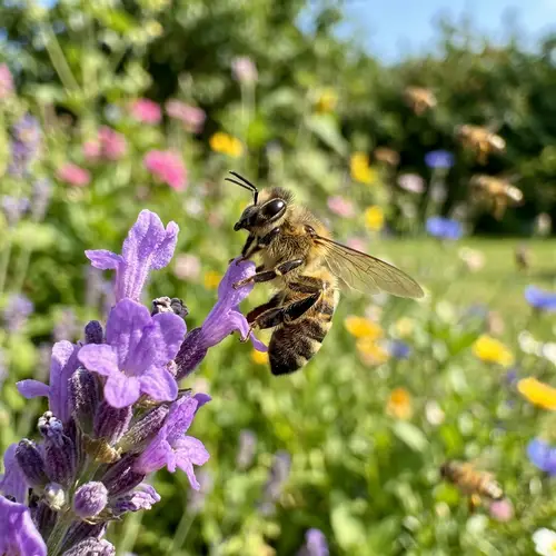 Fearful Honey Bee on Flower Edge | Emotional Garden Scene