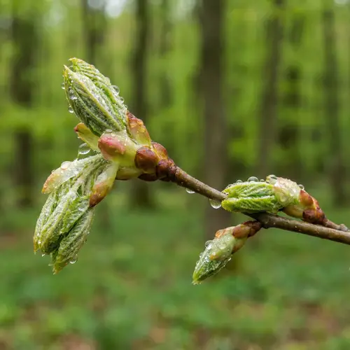 Understanding Kidney Functions and Health