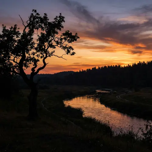 Silhouette Landscape with Tree and River