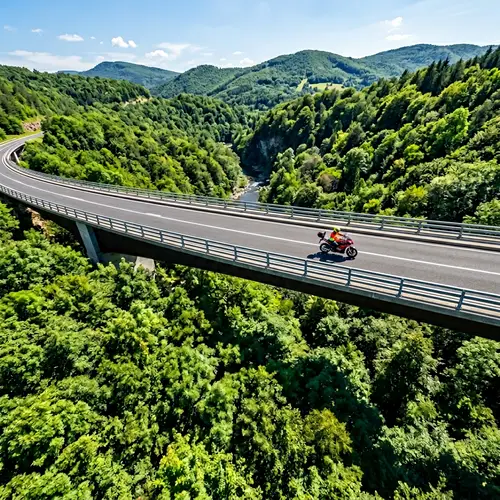 Breathtaking Aerial View of Lush Forest & Bridge