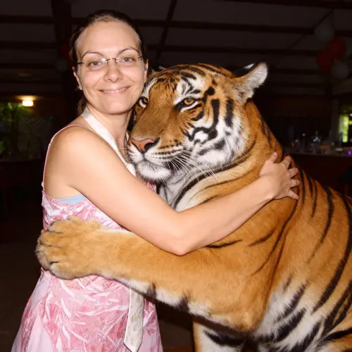 A Character Hugging a Tiger: A Unique Encounter