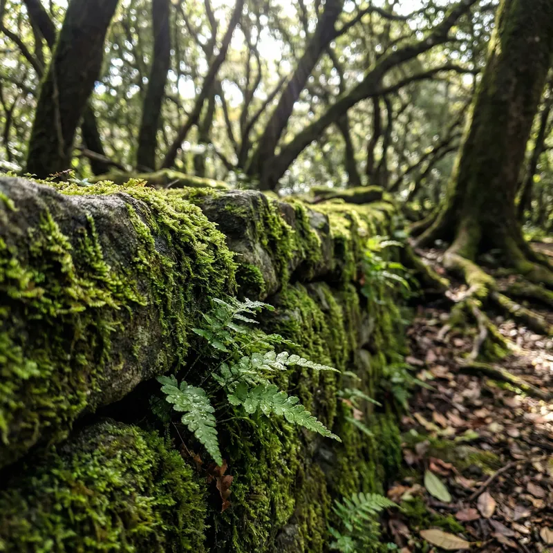 Stunning Photorealistic Imagery for Professionals