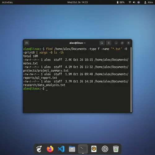 Linux Operating System Screen Illustration with Terminal Window
