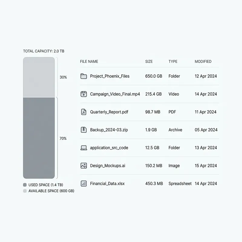 Minimalist Disk Usage Report Design