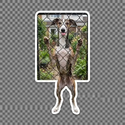 Adorable Tricolor Skinny Greyhound Sticker Dog | Online Store