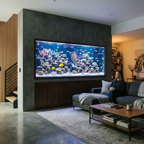 Custom Wall Aquarium for Modern Basements