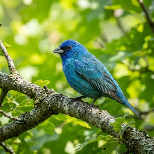 Exquisite Bird Perched on Tree Branch