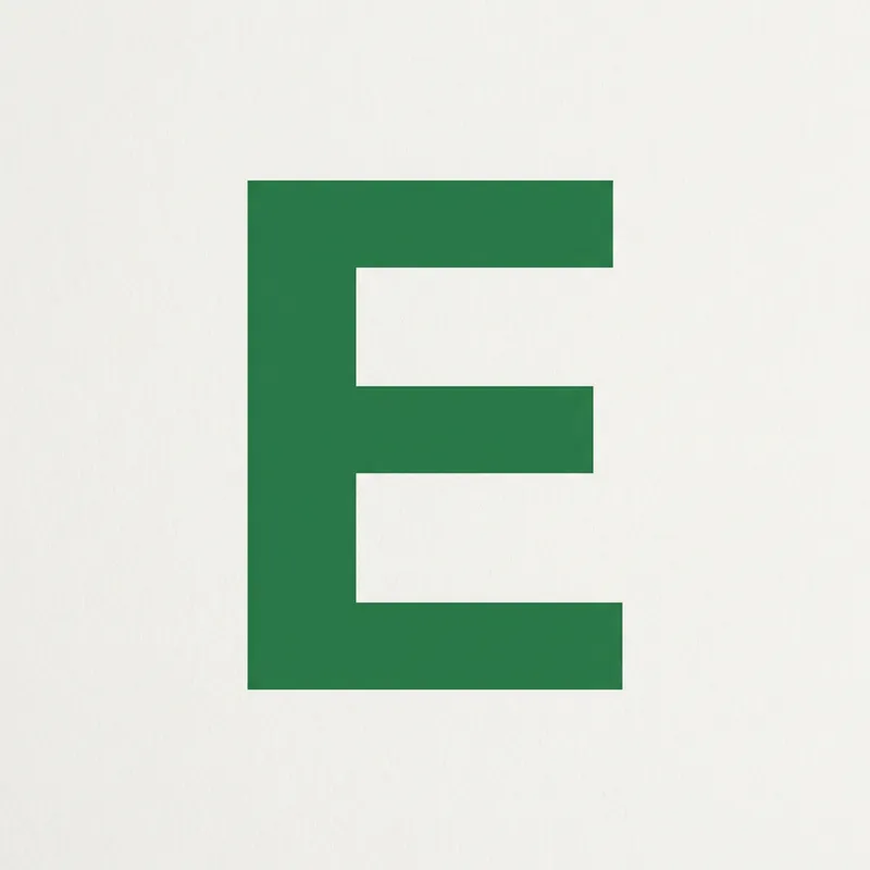 Letter E of Excel | Data Analysis Software