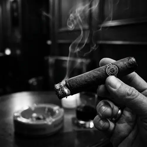 Black and White Lit Cigar - Timeless Elegance
