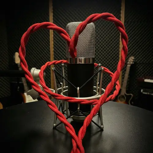 Heart-Shaped Red Wire Around Studio Microphone
