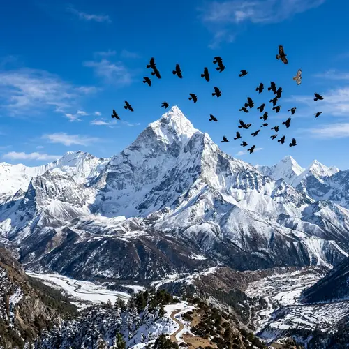 Majestic Snow-Covered Mountain and Diverse Birds in Flight