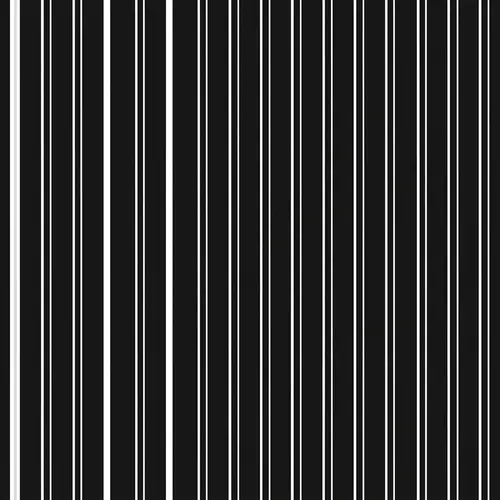 Black Image with White Stripes