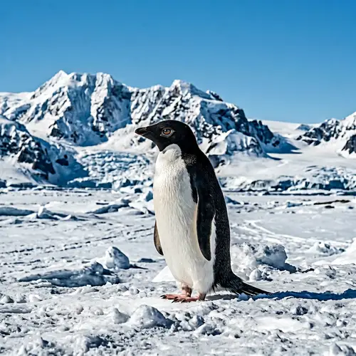 Smart-Looking Penguin in Stunning Antarctic Landscape