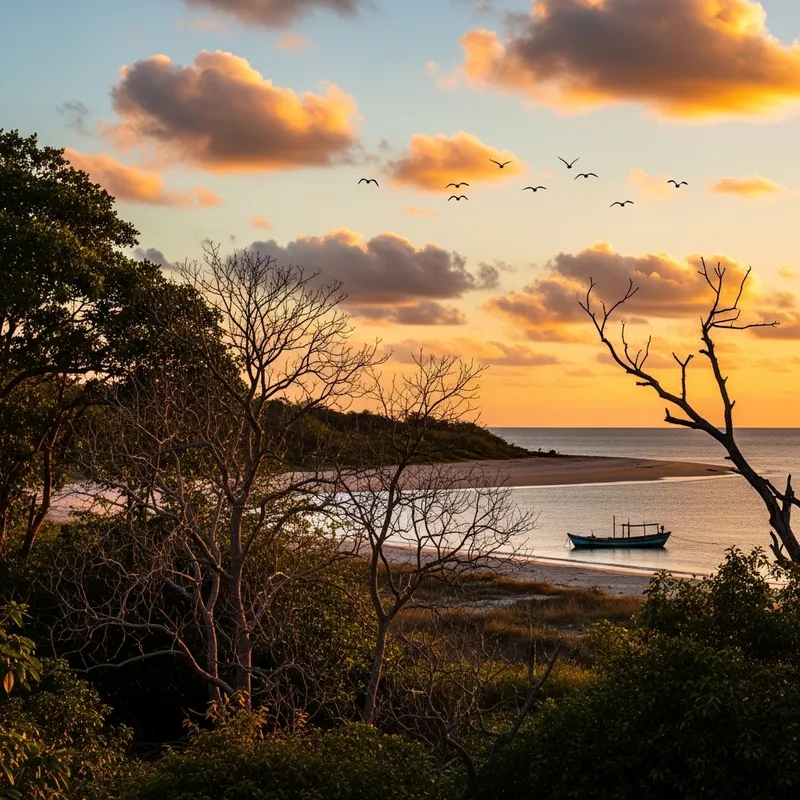 Scenic Sunset Over Dry Forest and Distant Beach