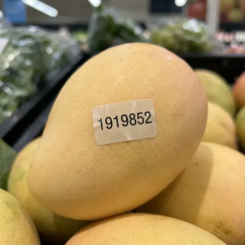 Mango: The King of Fruits