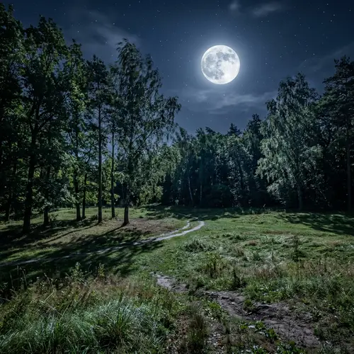 Serenity of Moonlit Park: Captivating Night Landscape