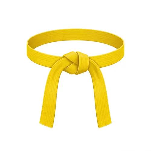 Yellow Belt in Judo - Beginner Level Icon