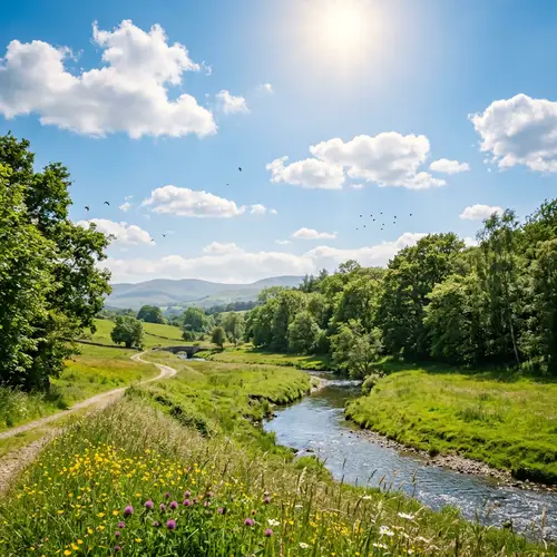 Beautiful Day: Sublime Scene with Fluffy Clouds, Radiant Sun & Rustling Trees