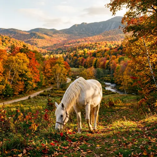 White Horse in Vibrant Fall Valley | Peaceful Grazing Scene