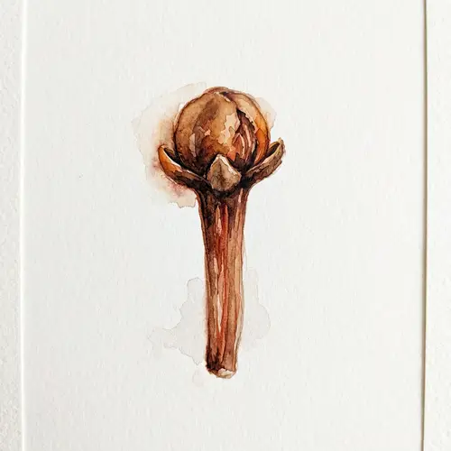 Watercolour Clove Painting - Culinary Art