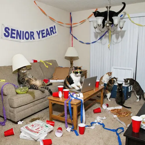 Wild High School House Party with Cats