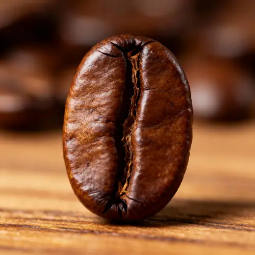 Coffee Bean Image | High-Quality Coffee Pictures
