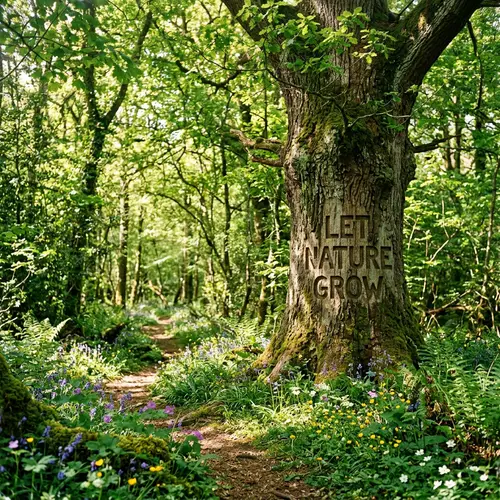 Let Nature Grow - Serene Forest Beauty