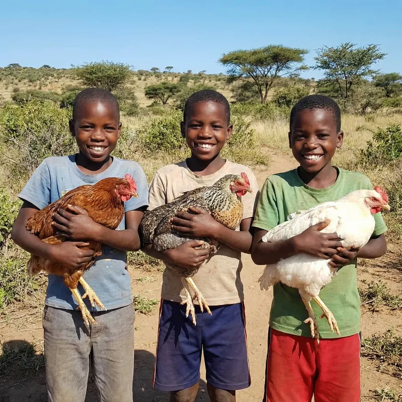 3 Happy African Boys Holding Hens Outdoors