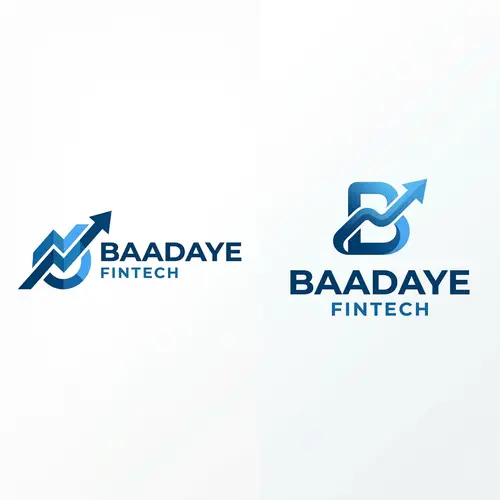 Create Two Attractive Logos for BAADAYE Fintech