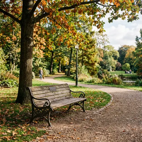 Park with a Bench - Relaxing Outdoor Spaces