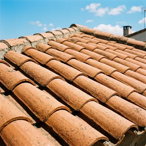 Terracotta Roof Tiles - Detailed View for Roofing Inspiration