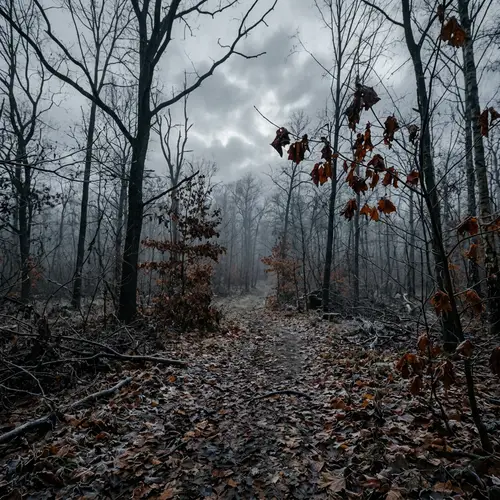 The Golden Autumn Has Burned Out