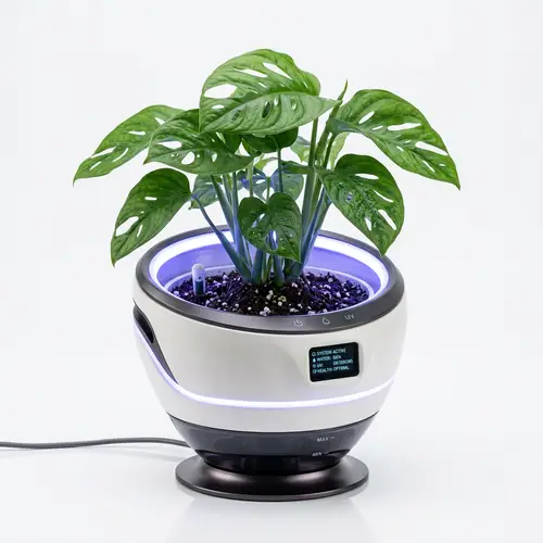 Futuristic Smart Flower Pot with Automatic Watering System